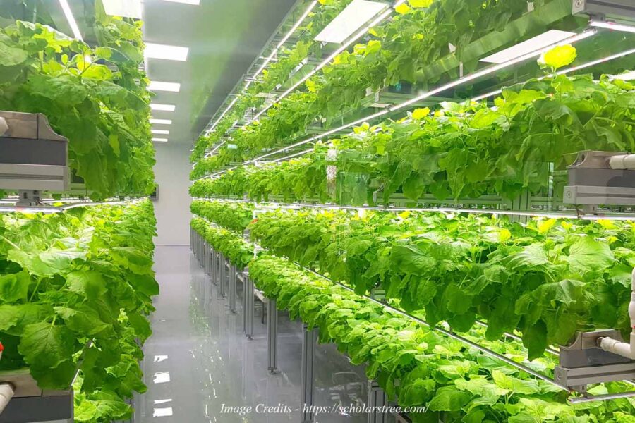 Vertical Farming: The Next Generation Farming