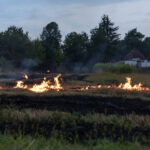 Stubble Burning: Its Impact on Human Health and the Environment, and Possible Alternatives