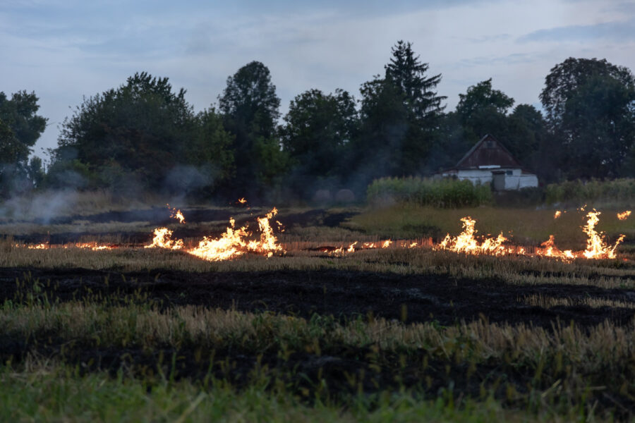 Stubble Burning: Its Impact on Human Health and the Environment, and Possible Alternatives