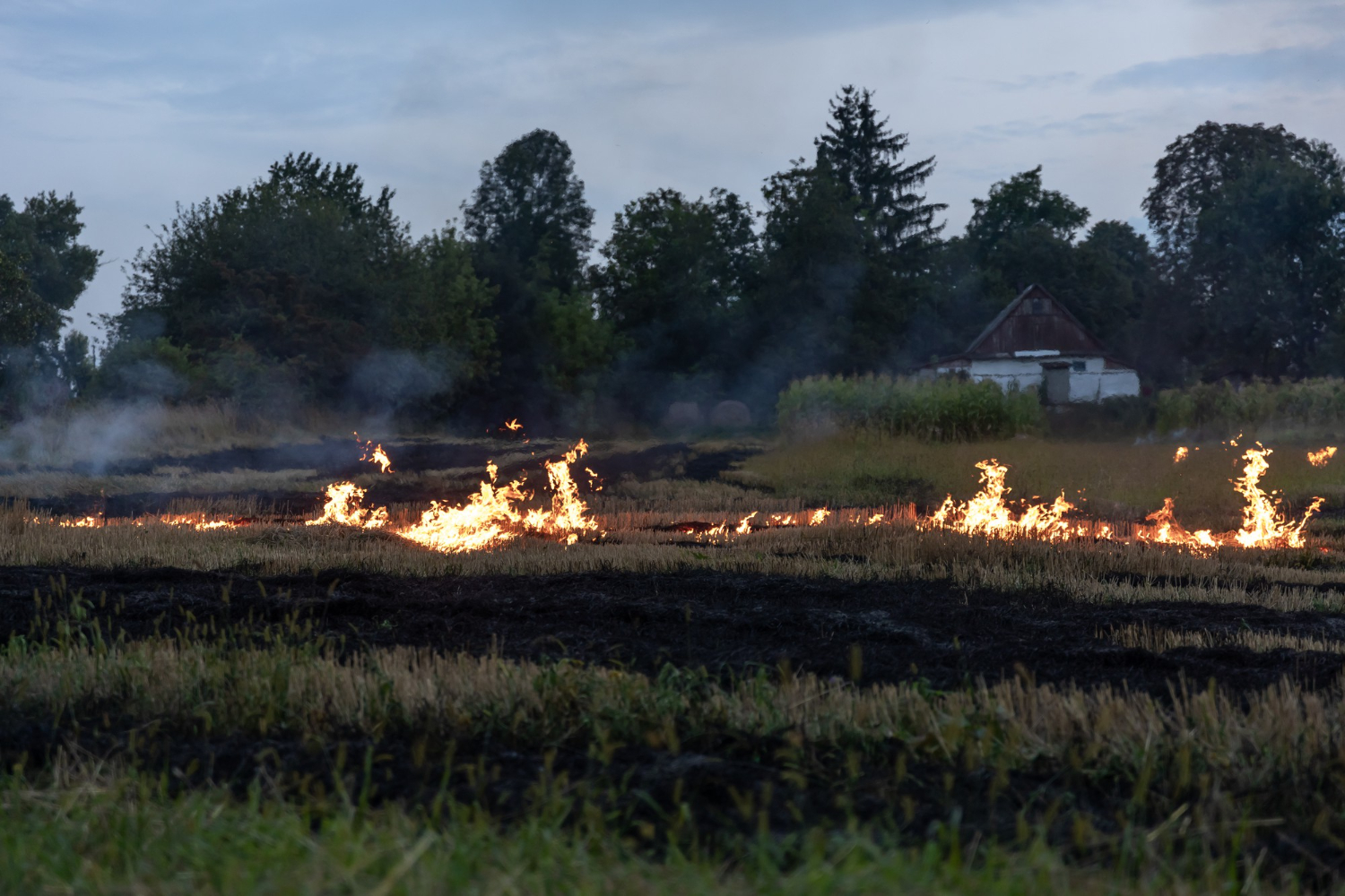 Stubble Burning: Its Impact on Human Health and the Environment, and Possible Alternatives